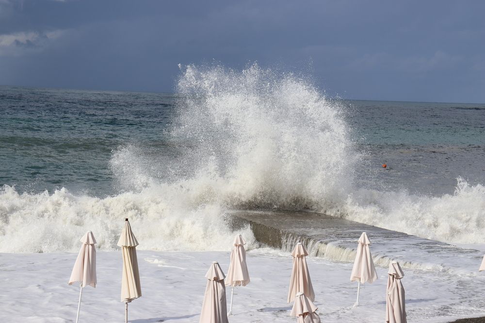 Фотография автора Александр Николаев
