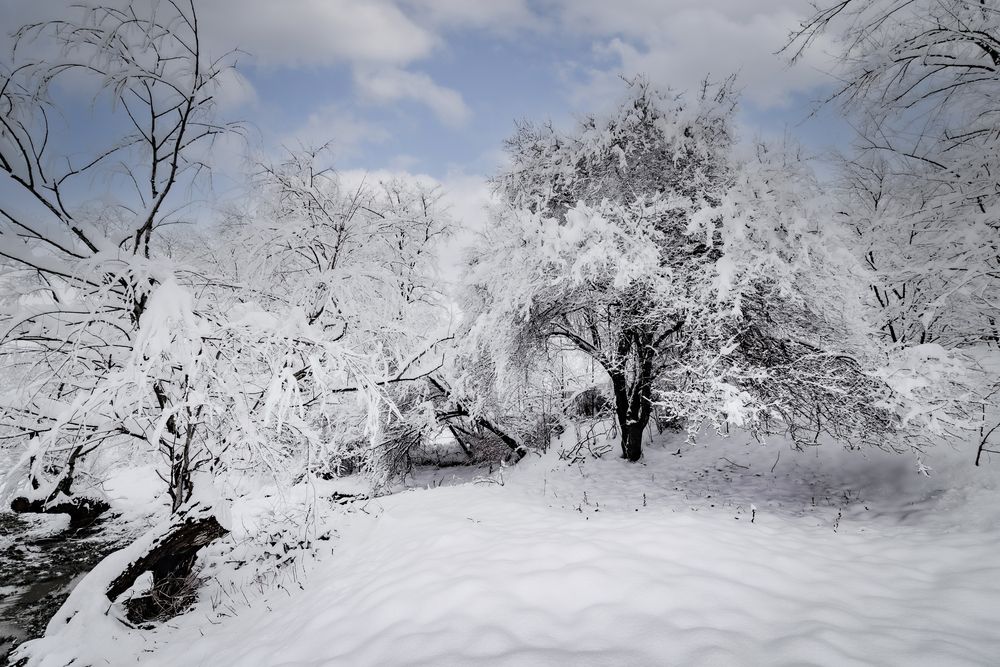 Photograph by Алексей Мякота