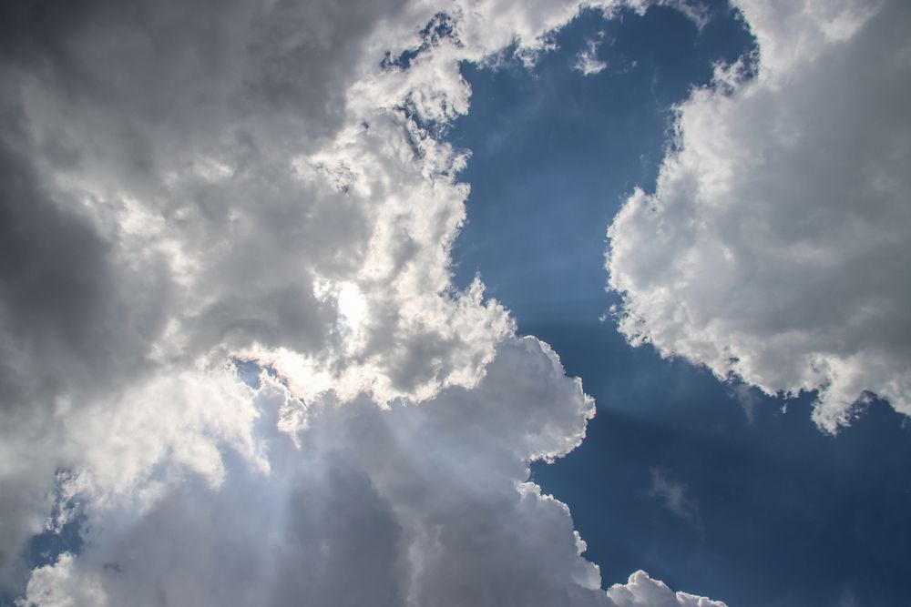 Фотография автора vanessa elbin