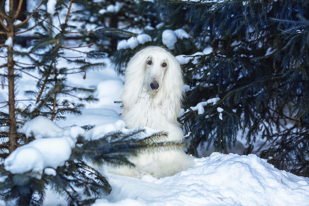 Photograph by Ольга Софронова