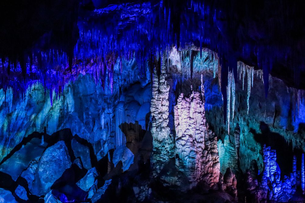 Фотография автора vanessa elbin