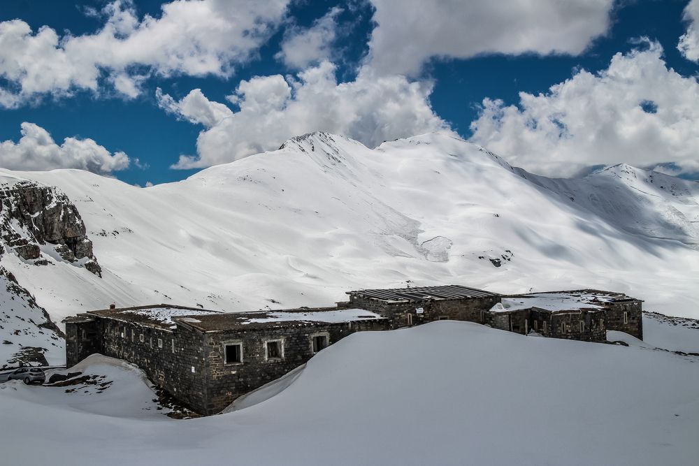 Фотография автора vanessa elbin