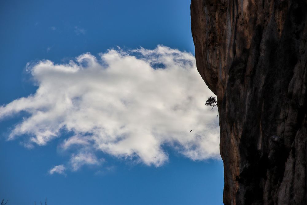 Фотография автора vanessa elbin