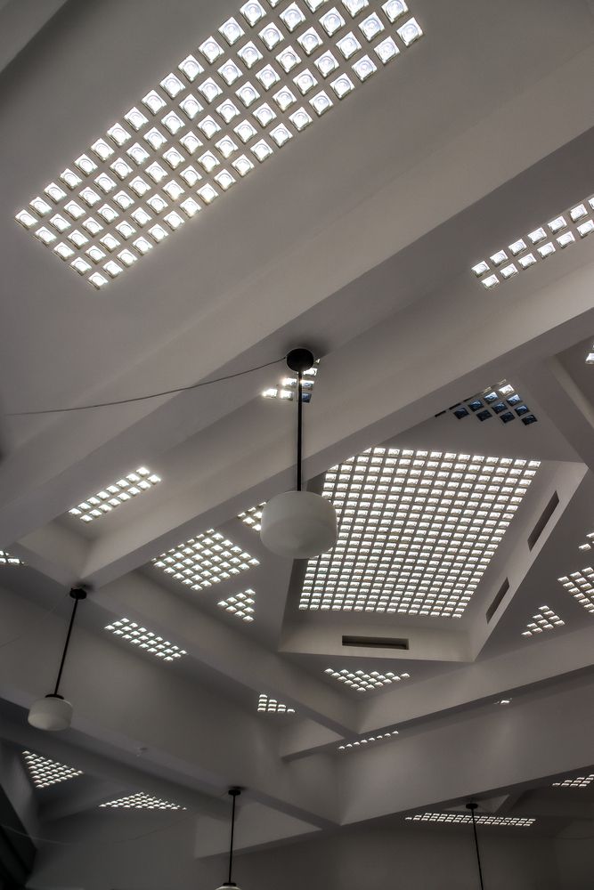 Фотография автора vanessa elbin