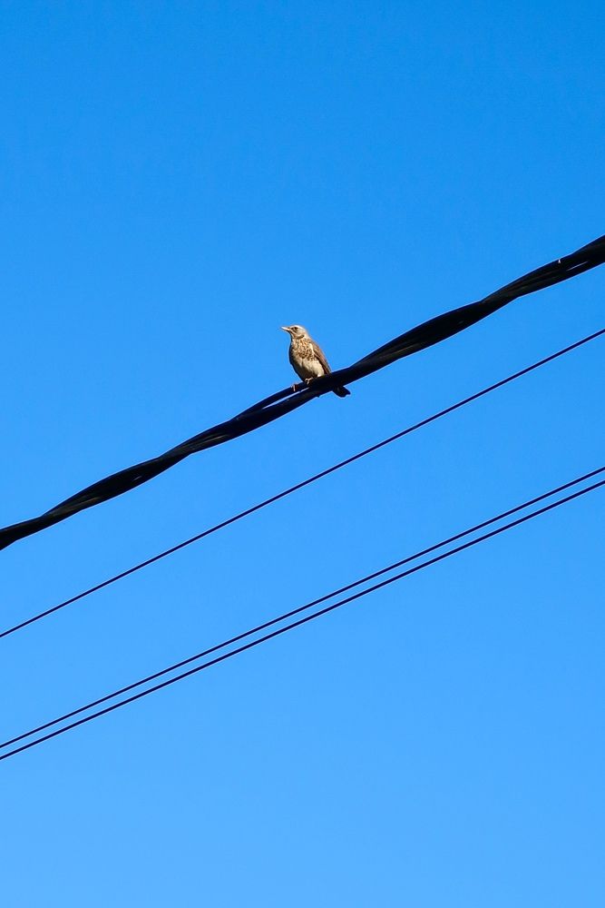 Photograph by Надежда Ткаченко
