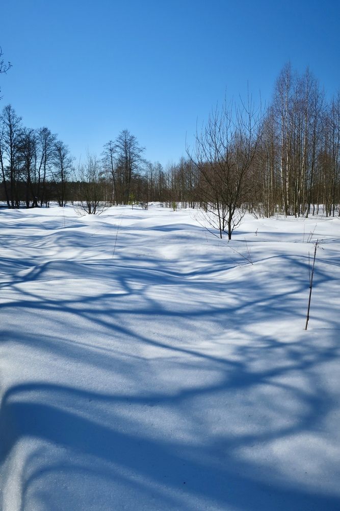 Photograph by Надежда Ткаченко