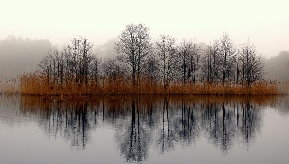 Photograph by 