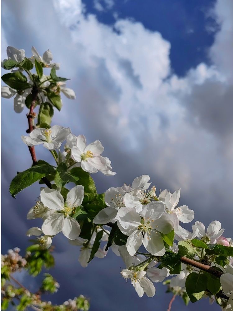 Photograph by Ульяна Кузьмина