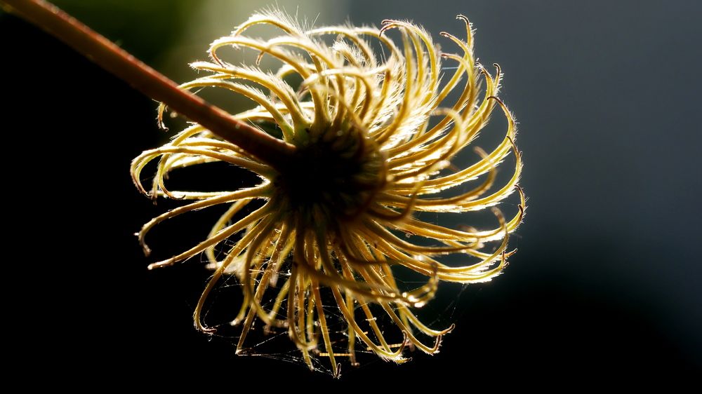 Photograph by Владимир Лобанов