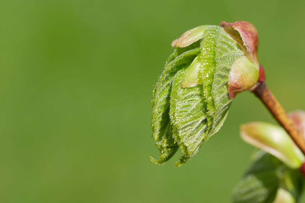 Photograph by Наталья Лобанова