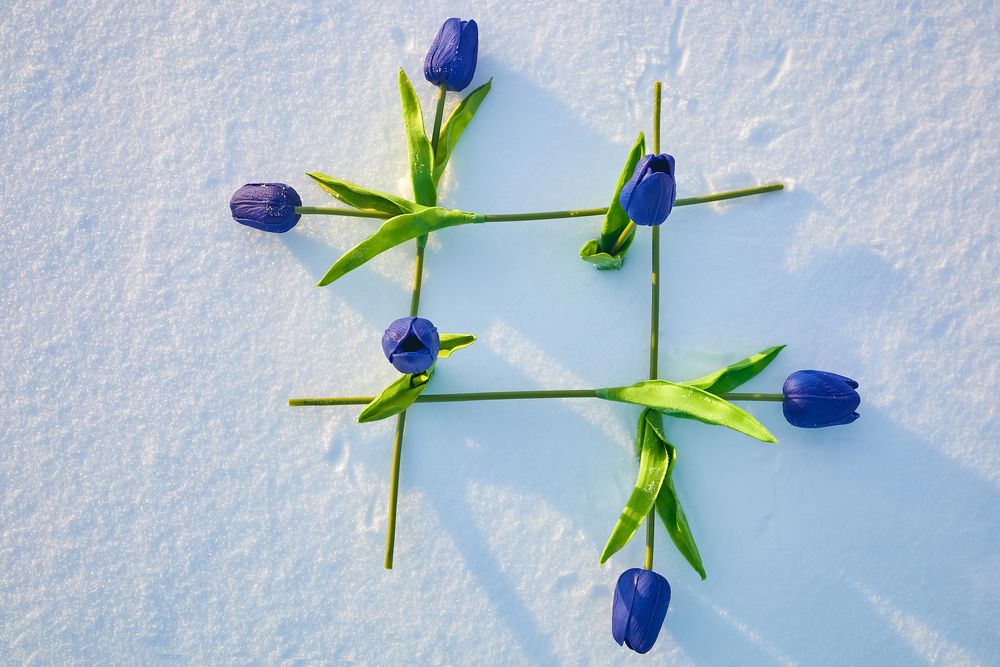 Photograph by Елена Пономарева