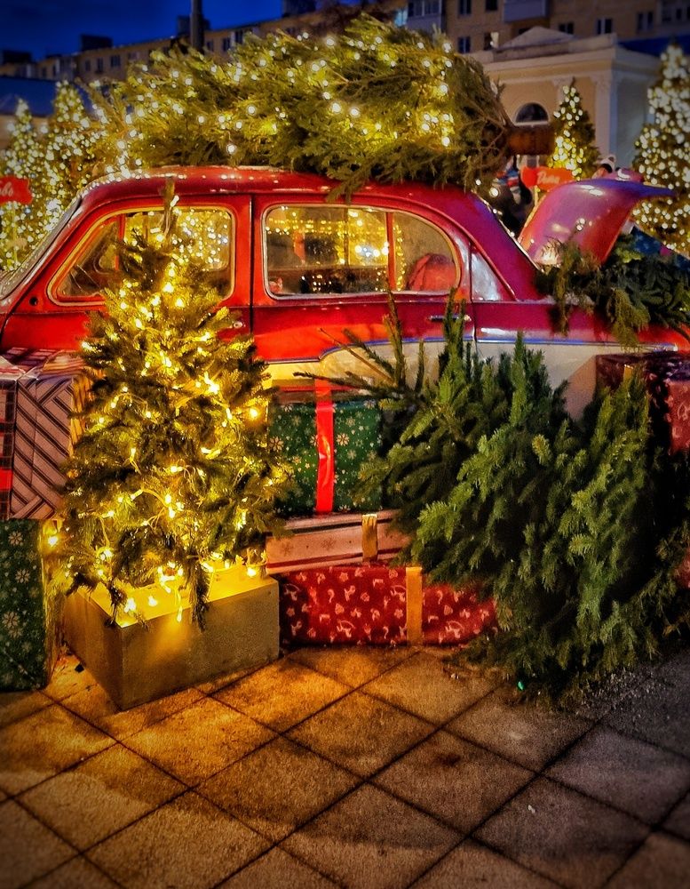 Photograph by Алена Самошина