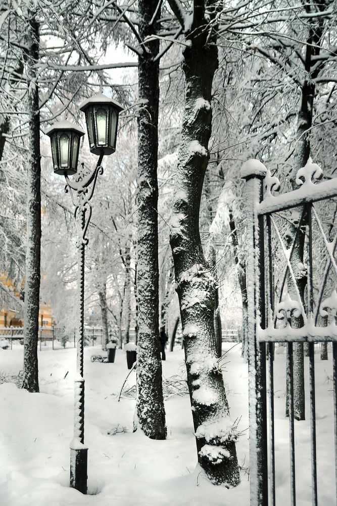 Photograph by Cергей Абакумов