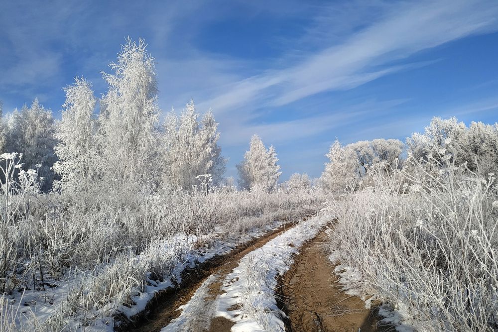 Photograph by Cергей Абакумов