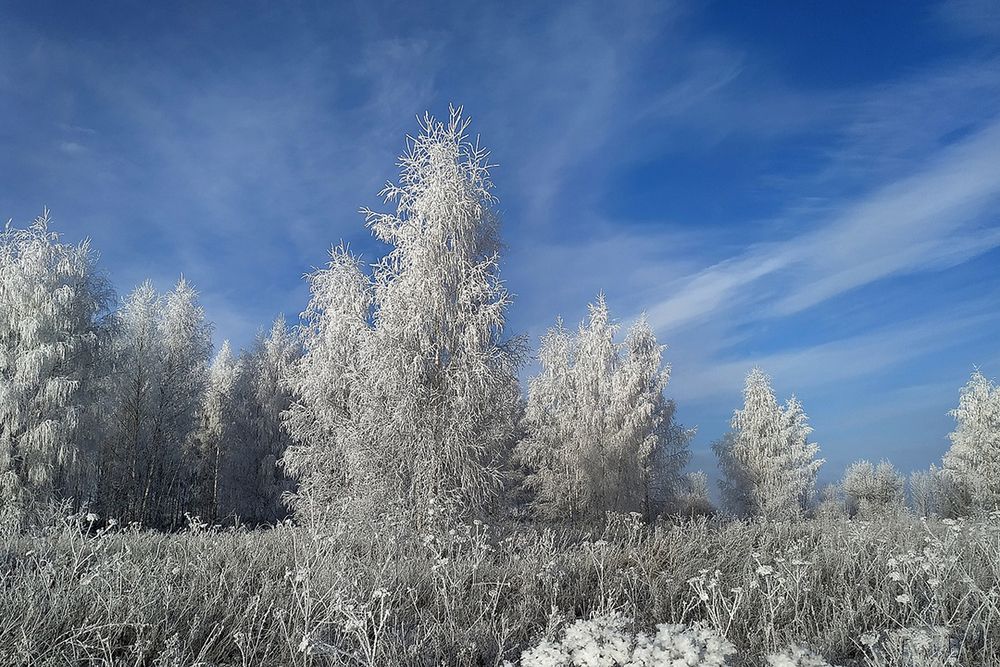Photograph by Cергей Абакумов