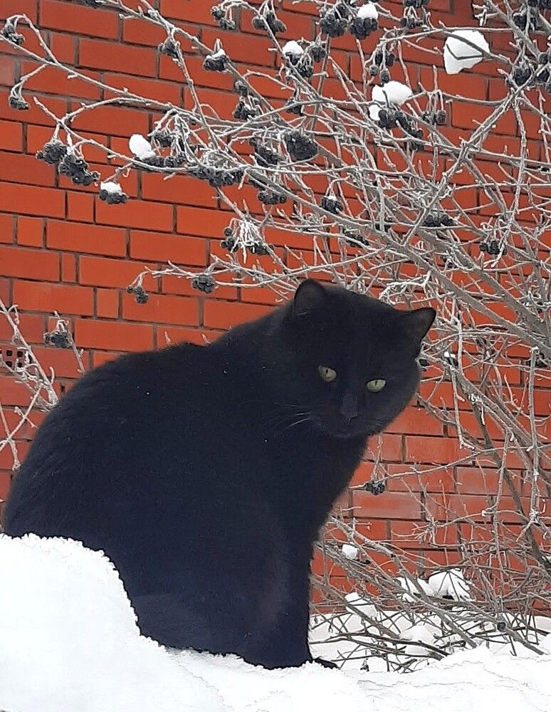 Photograph by Владимир Малёшин