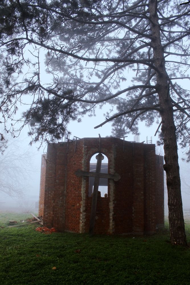 Фотография автора JELENA VASIC