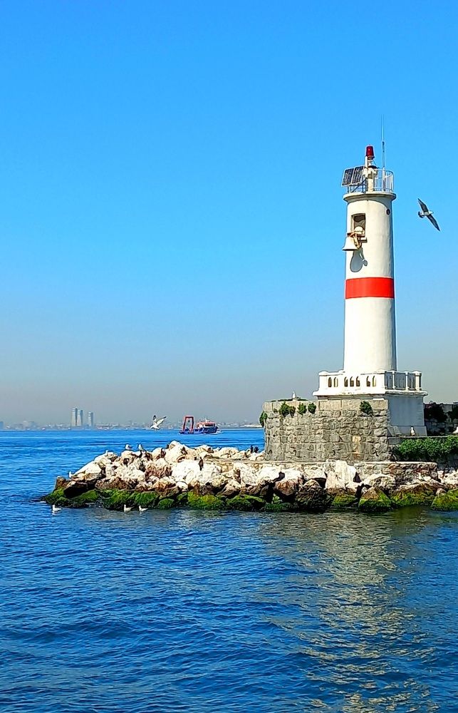 Photograph by Евгений Савулькин