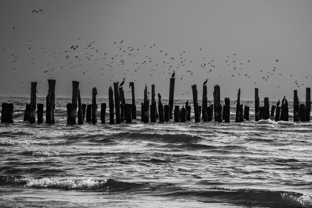 Photograph by Valdis Serzhans