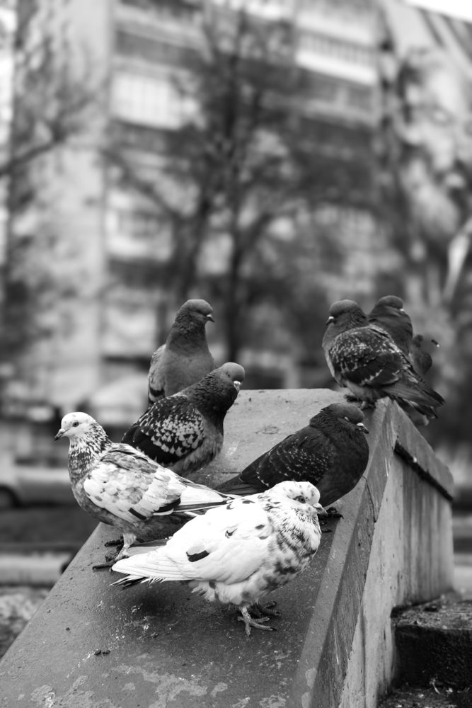 Photograph by Евгения Флиорчук