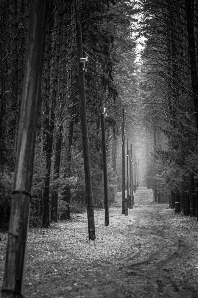 Photograph by Николай Путинцев