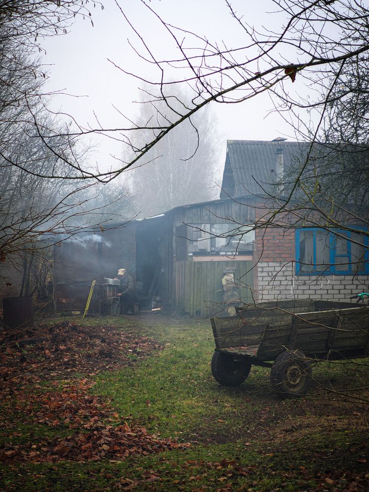 Photograph by Alexandr Gorelenkov