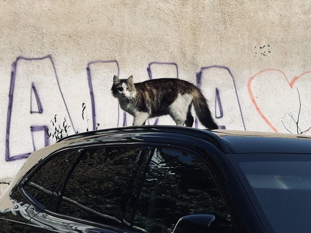 Фотография автора Sergei