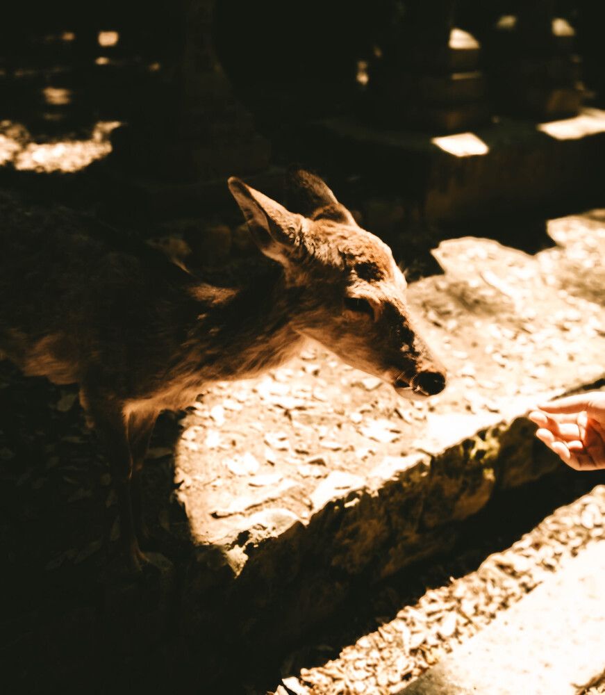 Photograph by Ольга