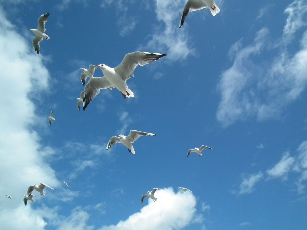 Photograph by Виктор Савельев