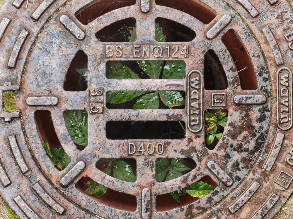 Фотография автора Dmitriy Sotnikov