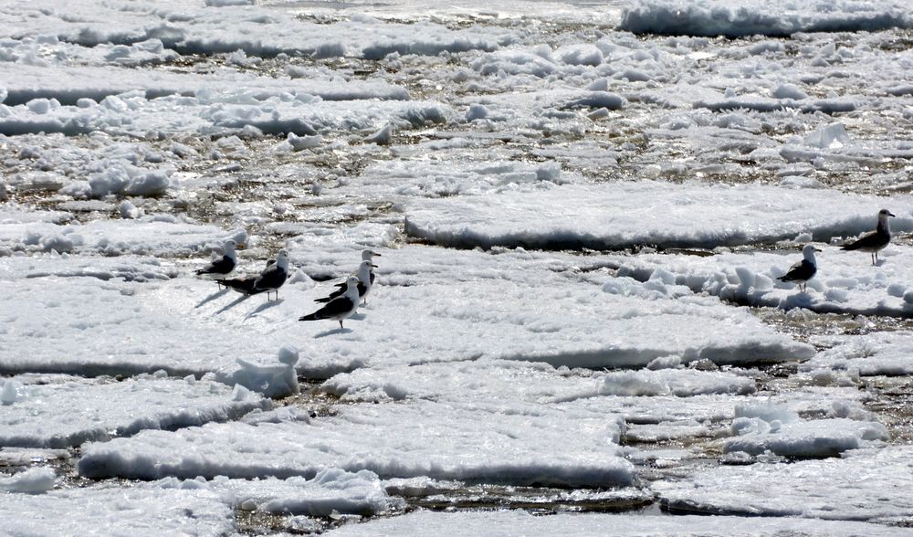 Фотография автора Юрий Рудый