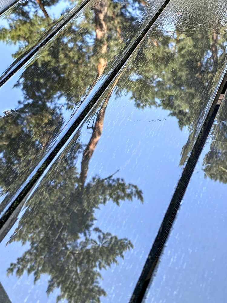 Photograph by Лидия Горностаева
