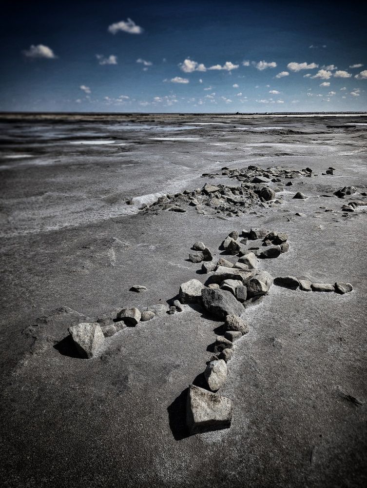 Photograph by AlexaL