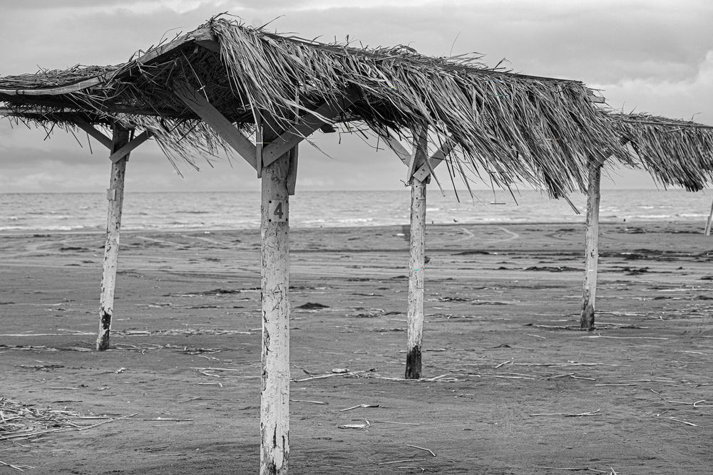 Photograph by Айдын Мехтиев