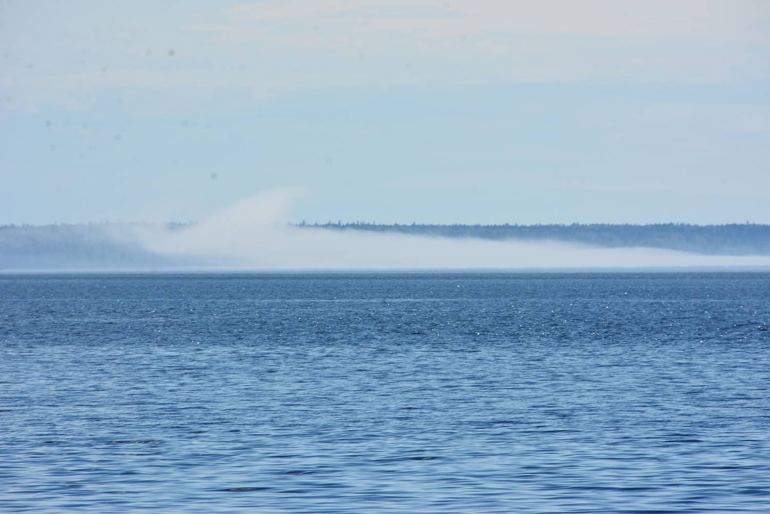 Photo #12985755