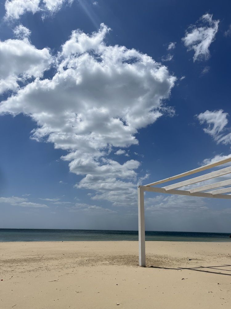 Photograph by Елена Богданович