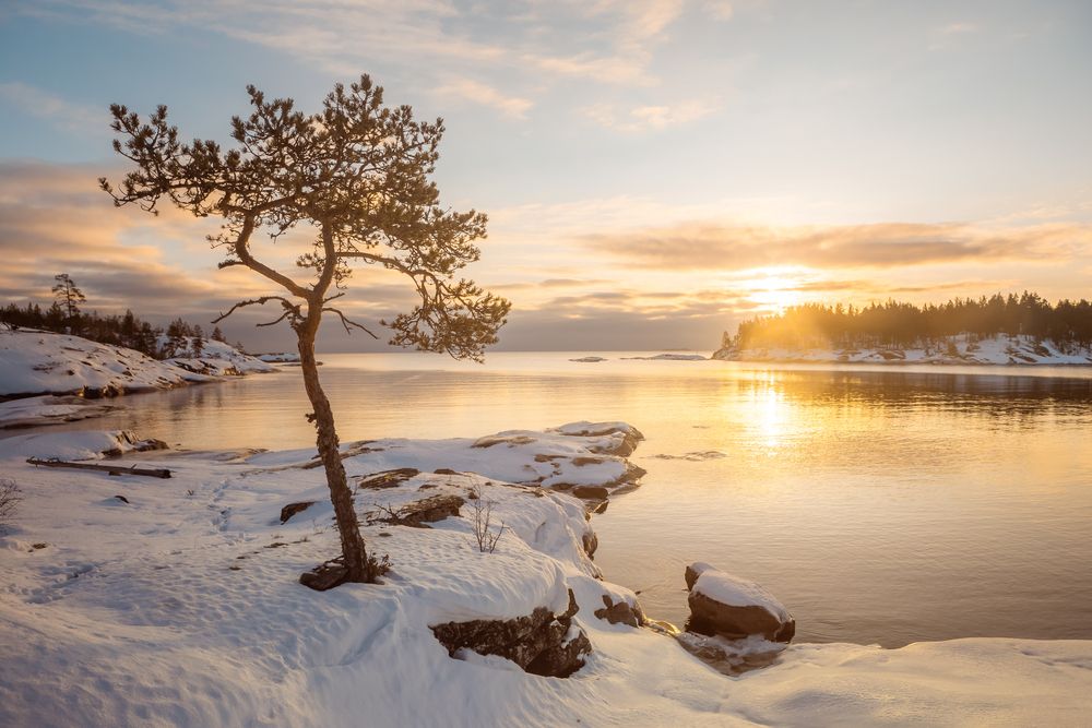 Photograph by Алексей Новиков