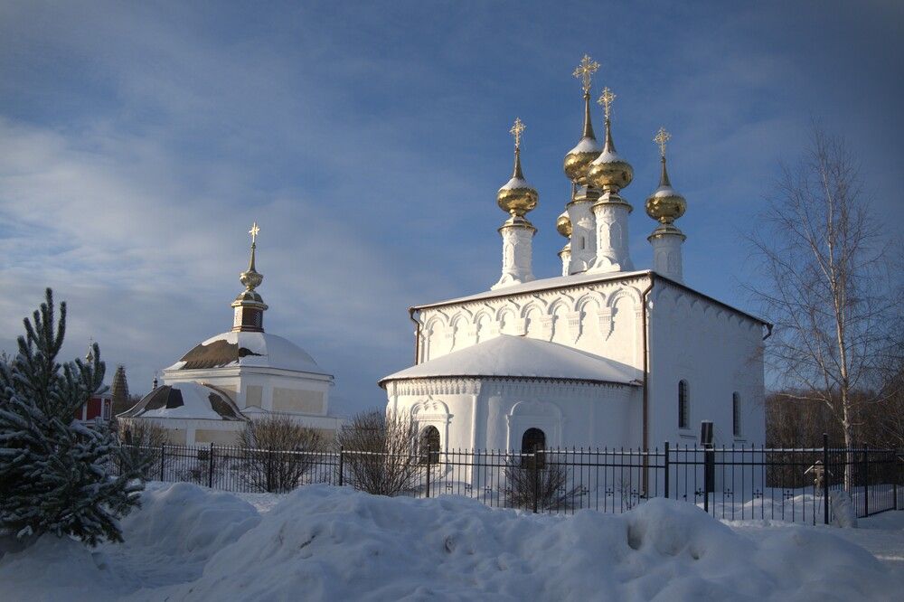 Фотография автора IRINA FILIPPOVA