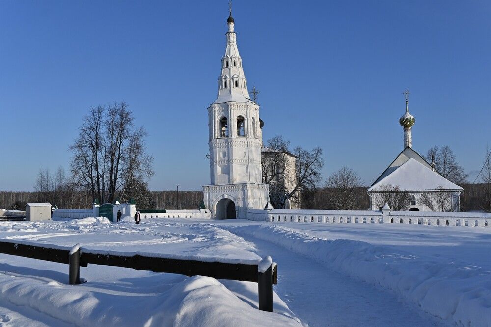 Фотография автора IRINA FILIPPOVA