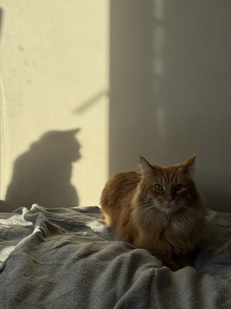 Photograph by Марина Михайлова