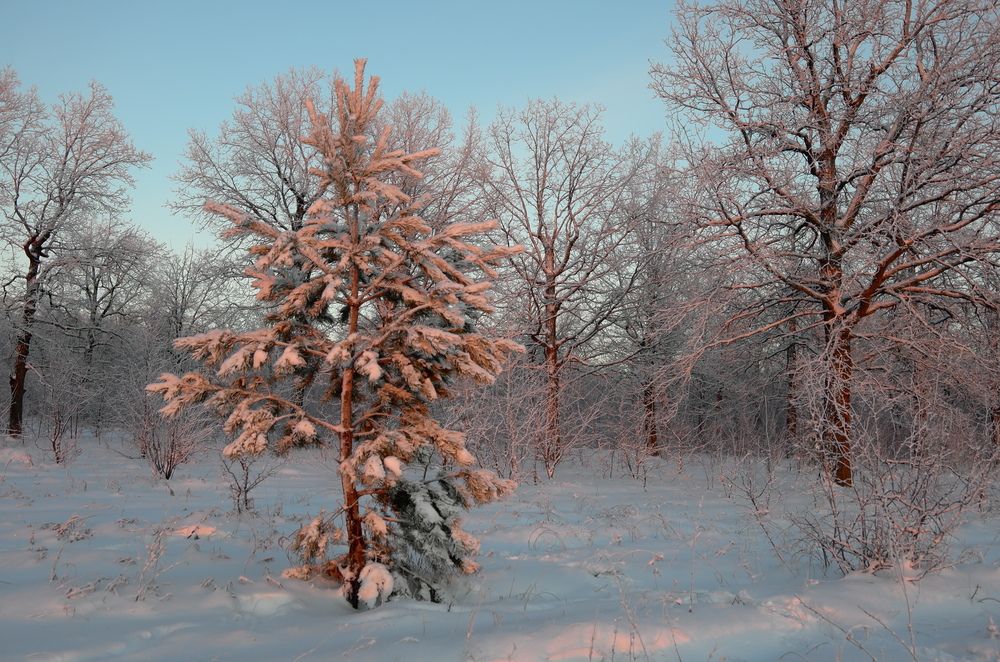 Photograph by Александр Кизим