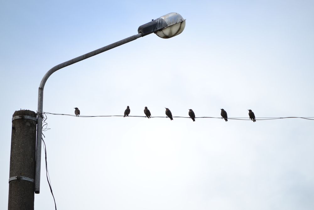 Фотография автора Владислав Базылев