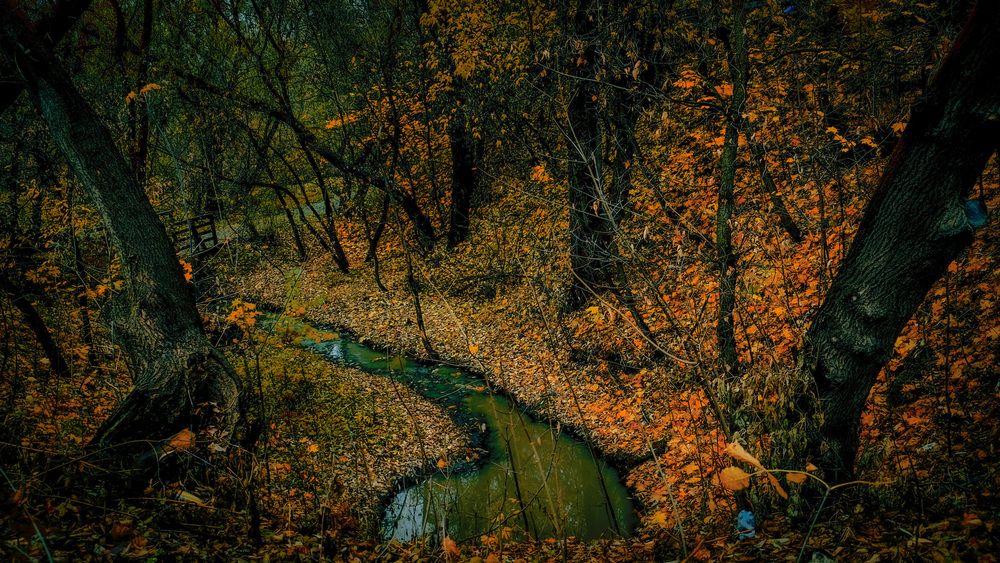 Photograph by Сергей Меркулов