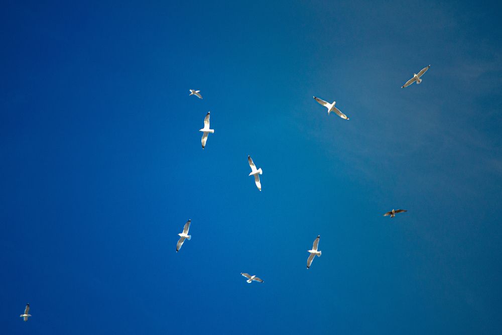 Фотография автора Владислав Базылев