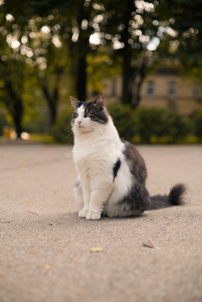 Photograph by Kotik photo