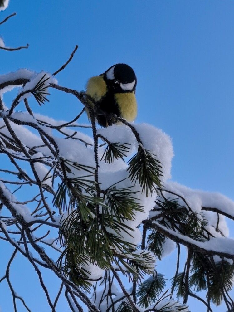 Photograph by Александр Порохов