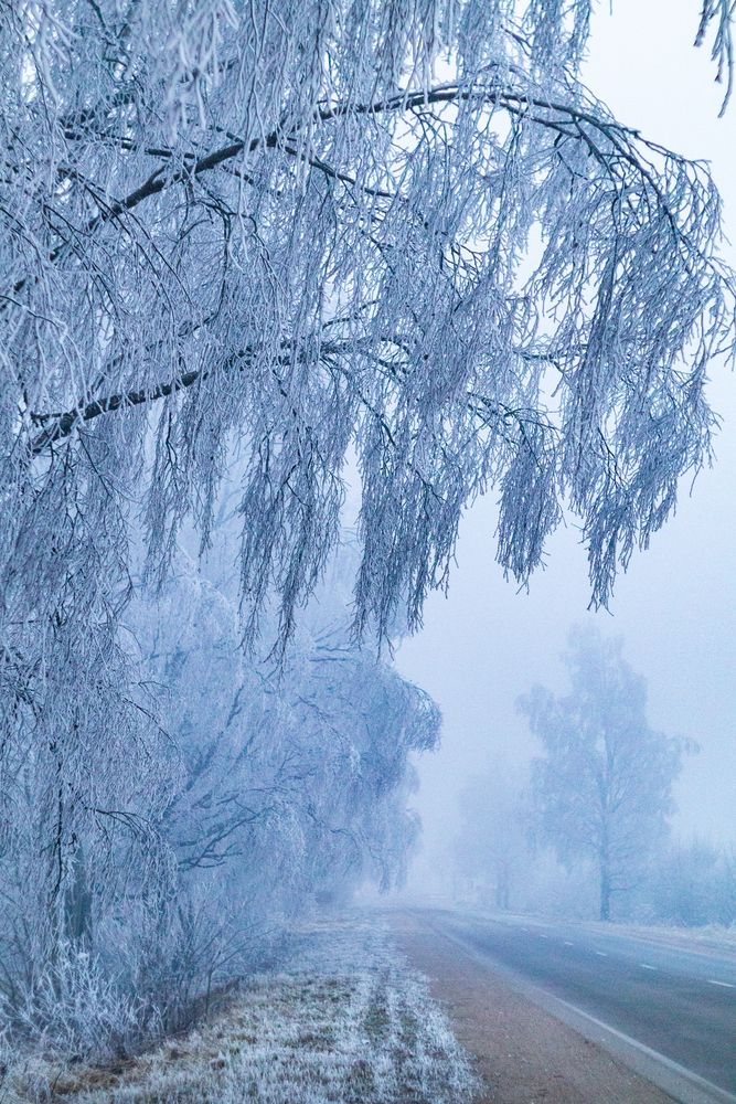 Фотография автора Aamoda Kitchen