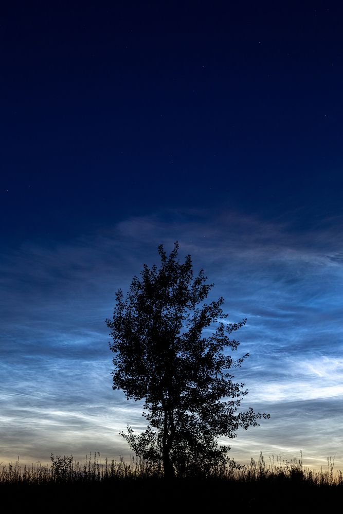 Фотография автора Aamoda Kitchen