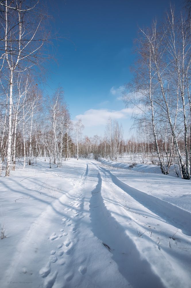 Фотография автора Elena Chilikina