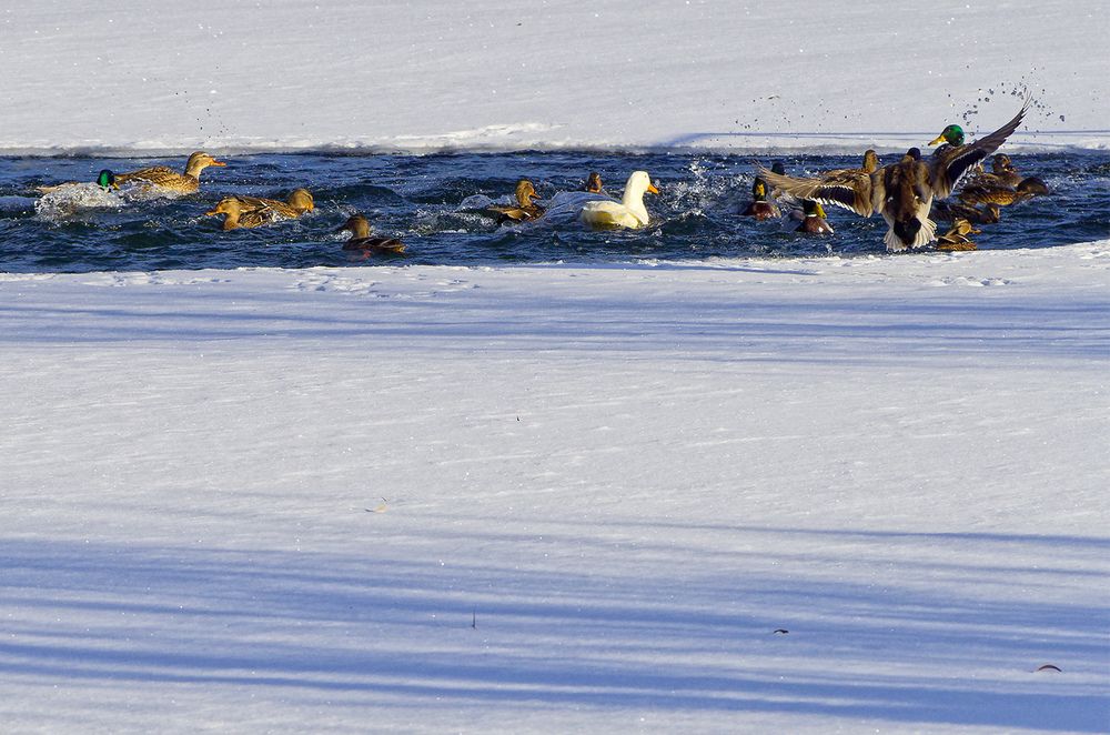 Photograph by Павел Кулинич